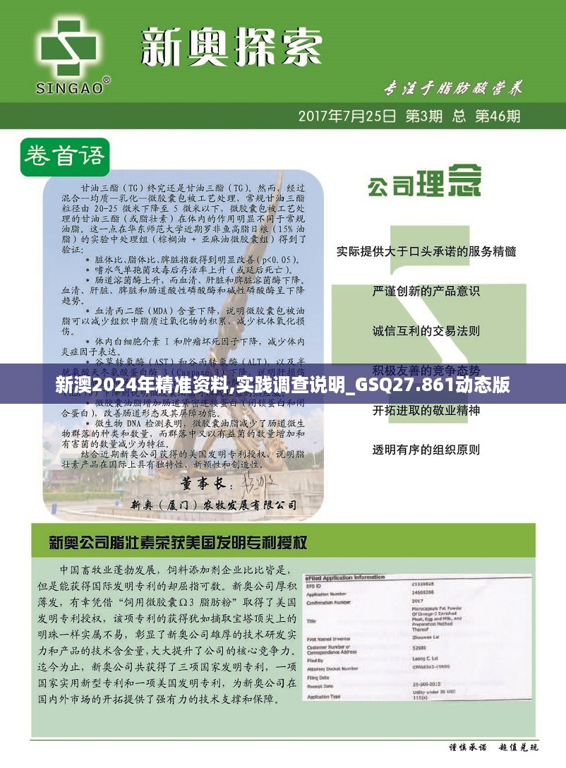 新澳2024年精准资料,实践调查说明_GSQ27.861动态版