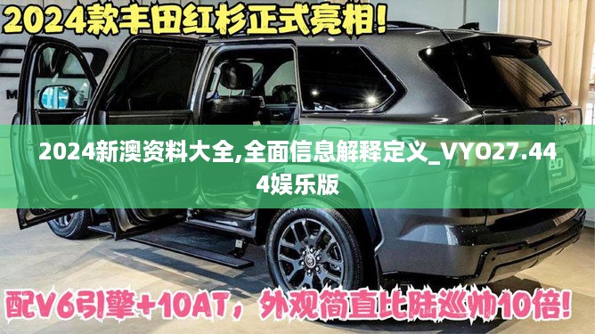 2024新澳资料大全,全面信息解释定义_VYO27.444娱乐版