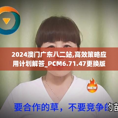 2024澳门广东八二站,高效策略应用计划解答_PCM6.71.47更换版