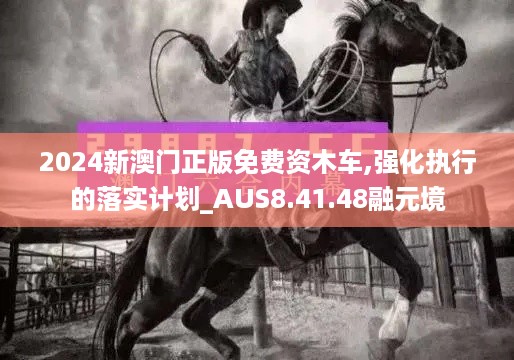 2024新澳门正版免费资木车,强化执行的落实计划_AUS8.41.48融元境