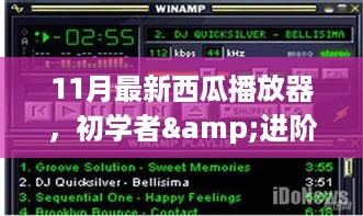 初学者与进阶用户适用的西瓜播放器使用指南（11月最新版）