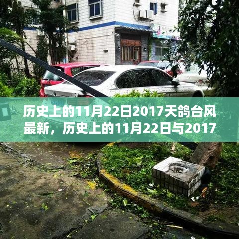 建议，历史上的11月22日与2017天鸽台风，深度分析较量与个人观点
