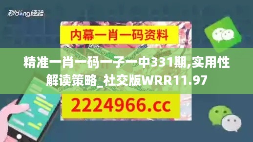 精准一肖一码一子一中331期,实用性解读策略_社交版WRR11.97