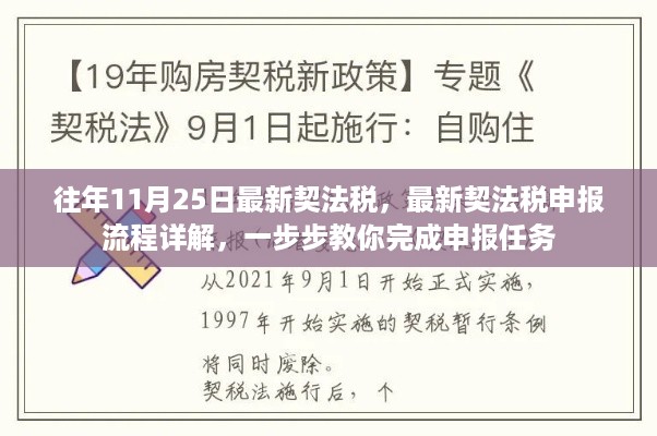 最新契法税申报详解及流程指南，一步步完成申报任务