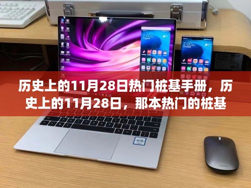 揭秘历史上的热门桩基手册，揭秘11月28日的秘密内容