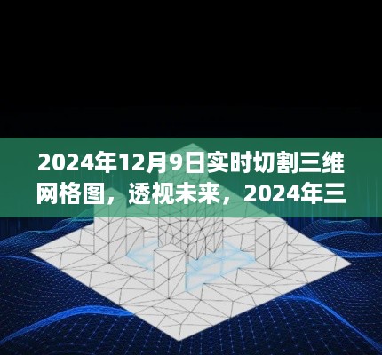 透视未来，2024年三维网格图实时切割技术展望