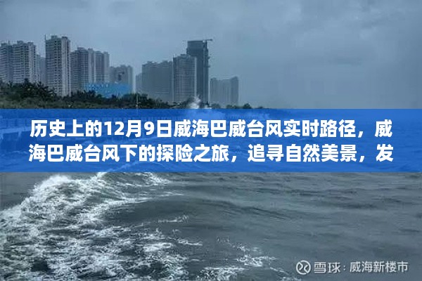 威海巴威台风下的探险之旅，追寻自然美景与内心宁静的历程