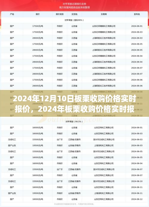 2024年板栗收购价格实时报价指南，初学者与进阶用户必读