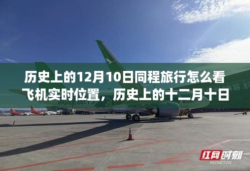niaofuweichao 第6页