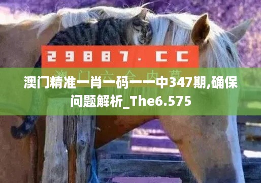 zunshiguidao 第5页