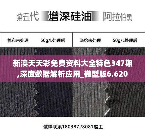 新澳天天彩免费资料大全特色347期,深度数据解析应用_微型版6.620