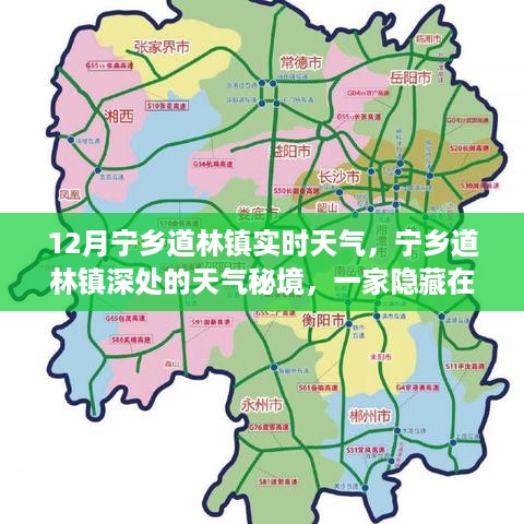 宁乡道林镇实时天气与小巷特色小店的奇妙之旅