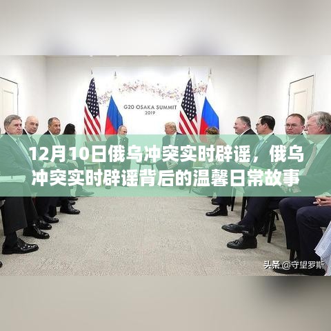 俄乌冲突实时辟谣背后的温馨日常故事，趣事与友情纽带——12月10日的记录