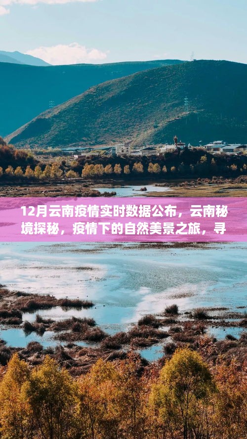 云南疫情实时数据与秘境探秘之旅，自然美景下的心灵宁静