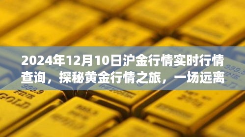 探秘黄金行情之旅，沪金实时行情查询与心灵远行体验（2024年12月10日）