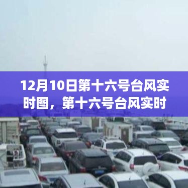 10词海28 第4页