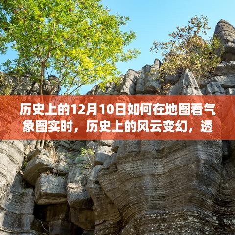 duzhongzhigui 第4页