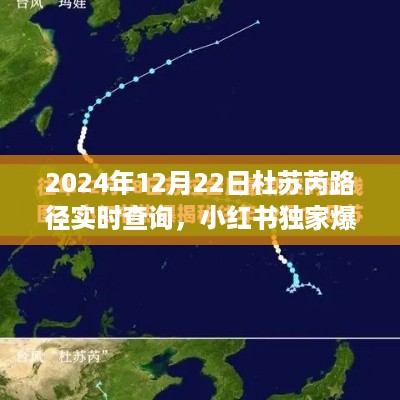 zhangmeiruyin 第4页