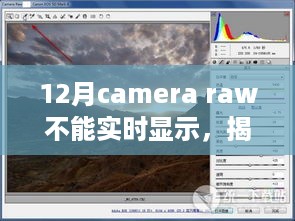 揭秘十二月Camera Raw无法实时显示的困扰，原因解析、解决方案与案例分析