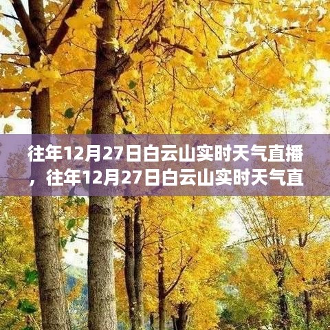 往年12月27日白云山实时天气直播，冬日山景的绝佳观赏体验