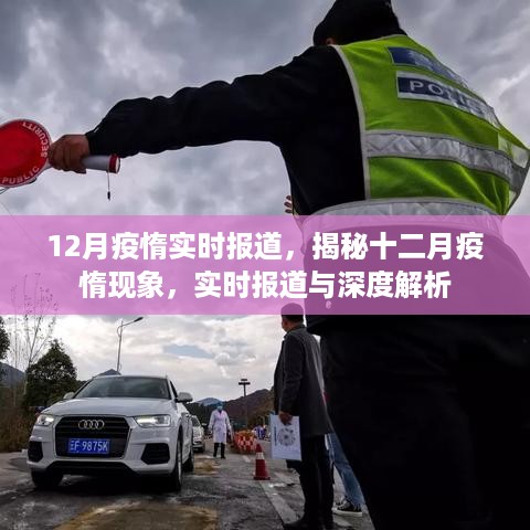 十二月疫惰现象深度解析与实时报道
