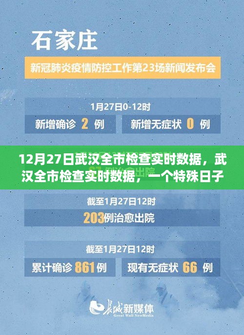 武汉全市检查实时数据深度观察，特殊日子的数据解读