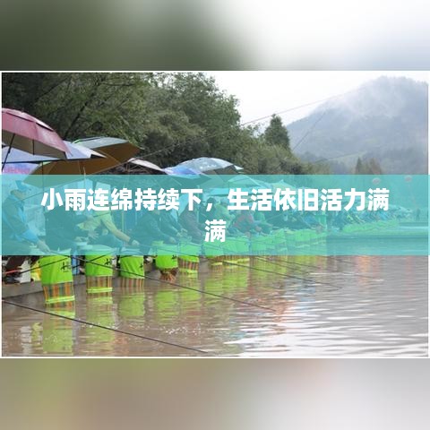 小雨连绵持续下，生活依旧活力满满