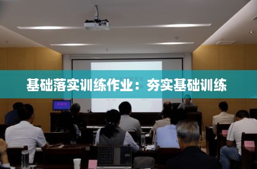 基础落实训练作业：夯实基础训练 