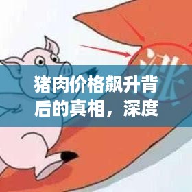 猪肉价格飙升背后的真相，深度剖析涨价原因