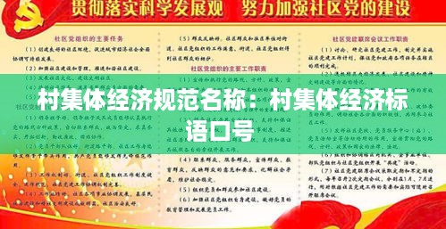 村集体经济规范名称：村集体经济标语口号 