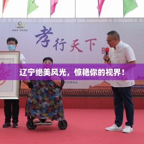 衣不兼采 第2页
