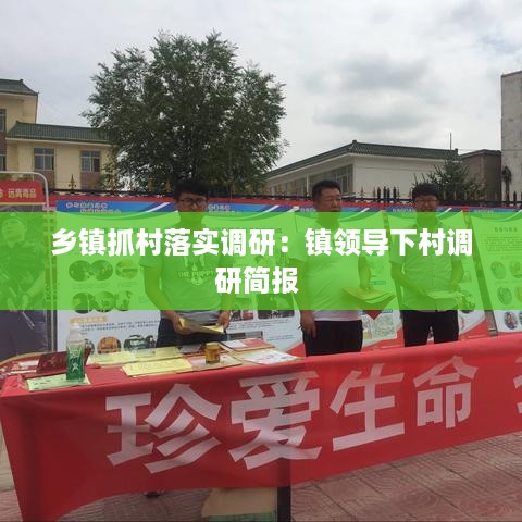 乡镇抓村落实调研：镇领导下村调研简报 