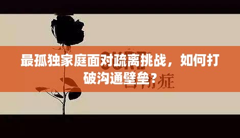 最孤独家庭面对疏离挑战，如何打破沟通壁垒？