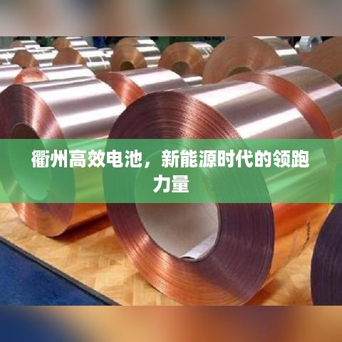 铺张扬厉 第2页