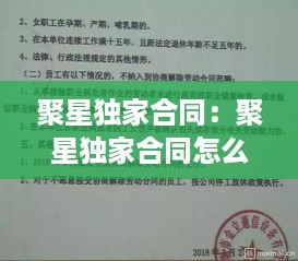 公证管理 第369页