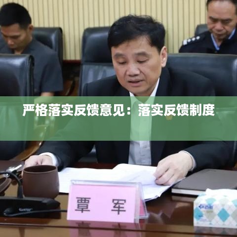 严格落实反馈意见：落实反馈制度 