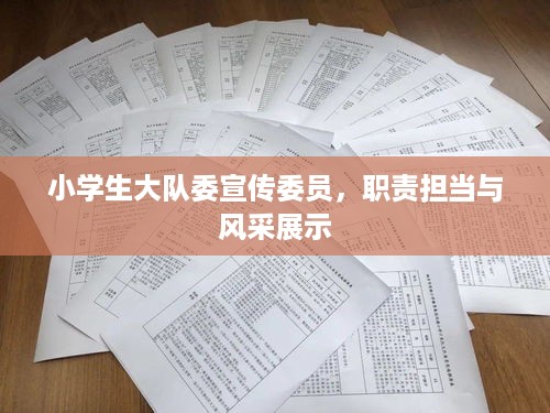 小学生大队委宣传委员，职责担当与风采展示