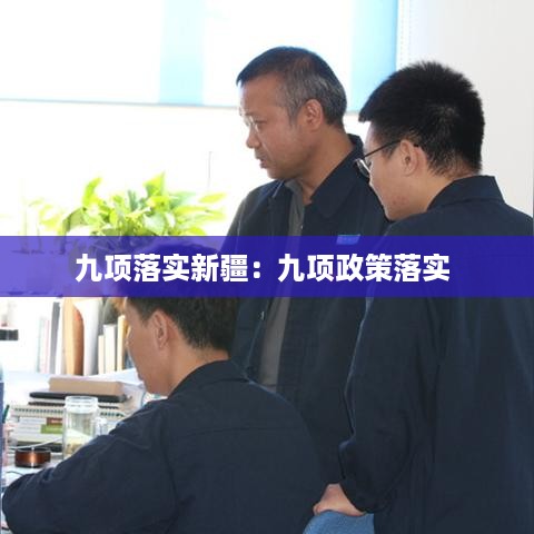 九项落实新疆：九项政策落实 