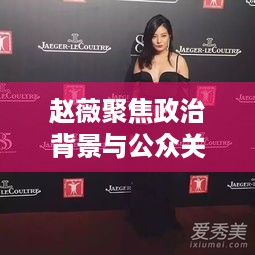 赵薇聚焦政治背景与公众关注焦点，深度报道揭秘真相