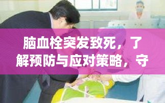 脑血栓突发致死，了解预防与应对策略，守护健康生命线