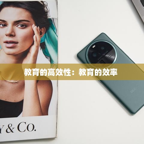 教育的高效性：教育的效率 