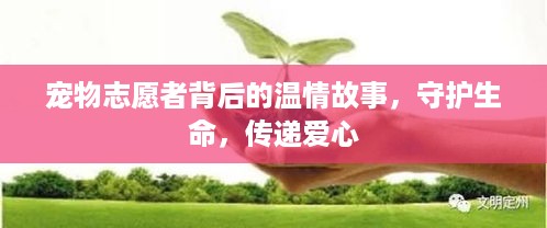 听见风就是雨 第2页