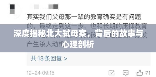 深度揭秘北大弑母案，背后的故事与心理剖析