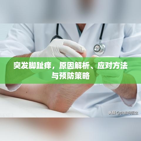 突发脚趾痒，原因解析、应对方法与预防策略