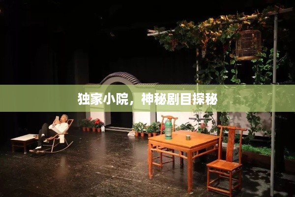 独家小院，神秘剧目探秘