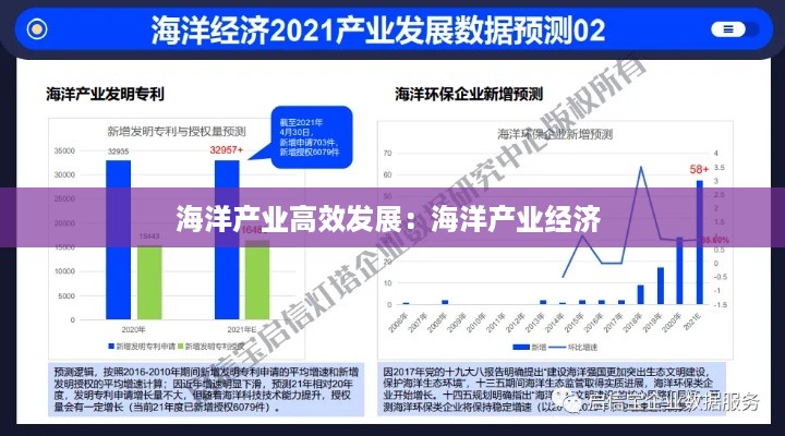 海洋产业高效发展：海洋产业经济 