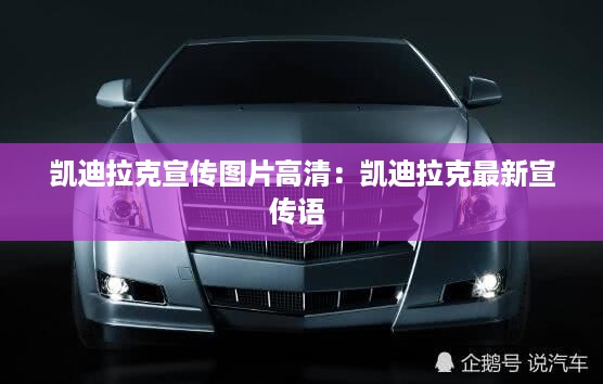取证 第335页