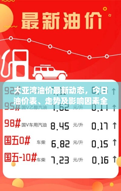 公证管理 第336页