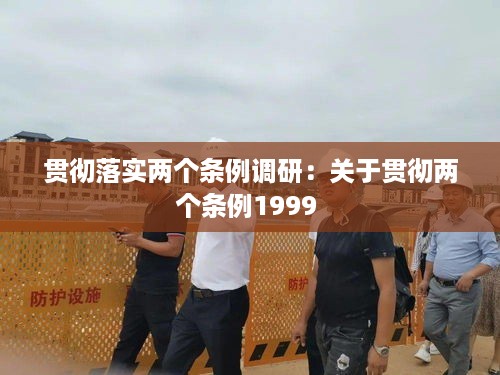 贯彻落实两个条例调研：关于贯彻两个条例1999 