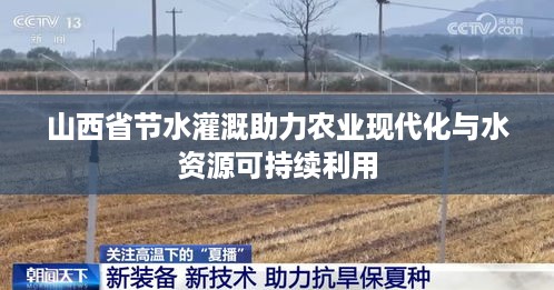 山西省节水灌溉助力农业现代化与水资源可持续利用